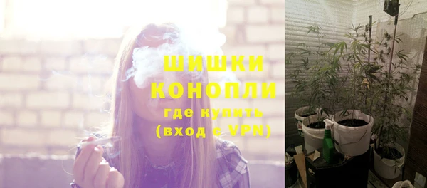 спиды Дмитриев
