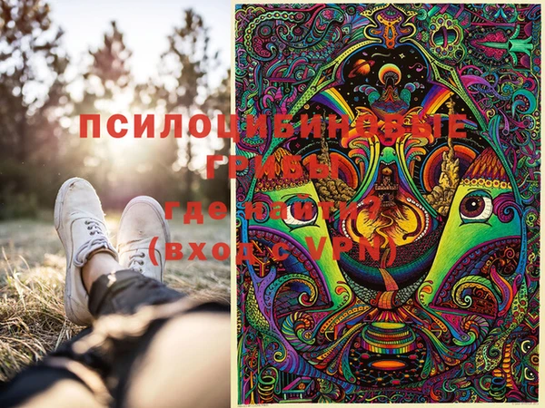 спиды Дмитриев