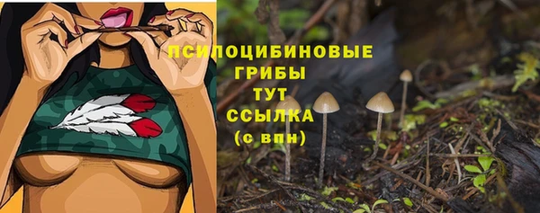 спиды Дмитриев