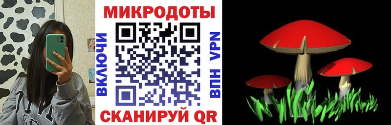 Псилоцибиновые грибы Psilocybe  hydra ссылки  Курган 
